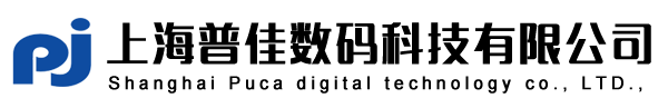 ��ӡ������